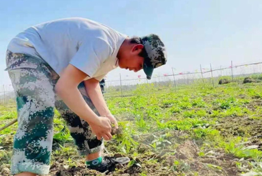 汨羅叛逆學校學生行為分析:教育引導與解決方案